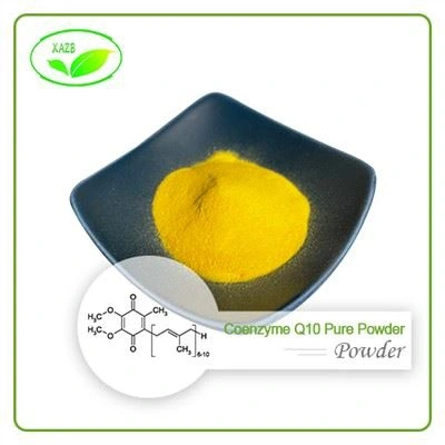 Coenzyme Q10 Pure Powder